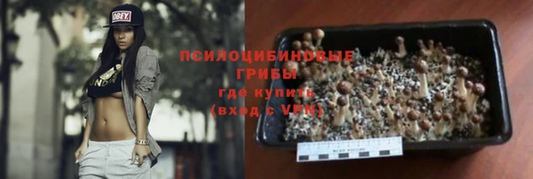 хмурый Горно-Алтайск