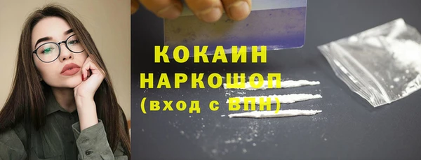 apvp Гусев