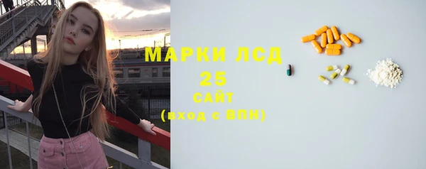apvp Гусев