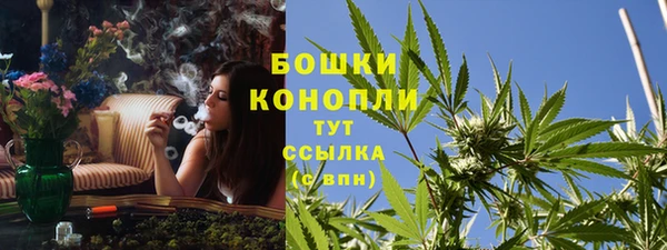 бутират Гусиноозёрск