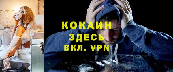 apvp Гусев