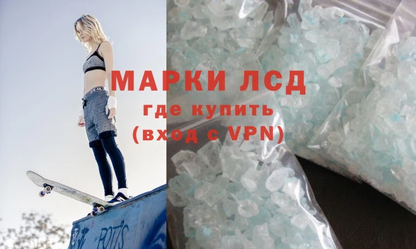apvp Гусев
